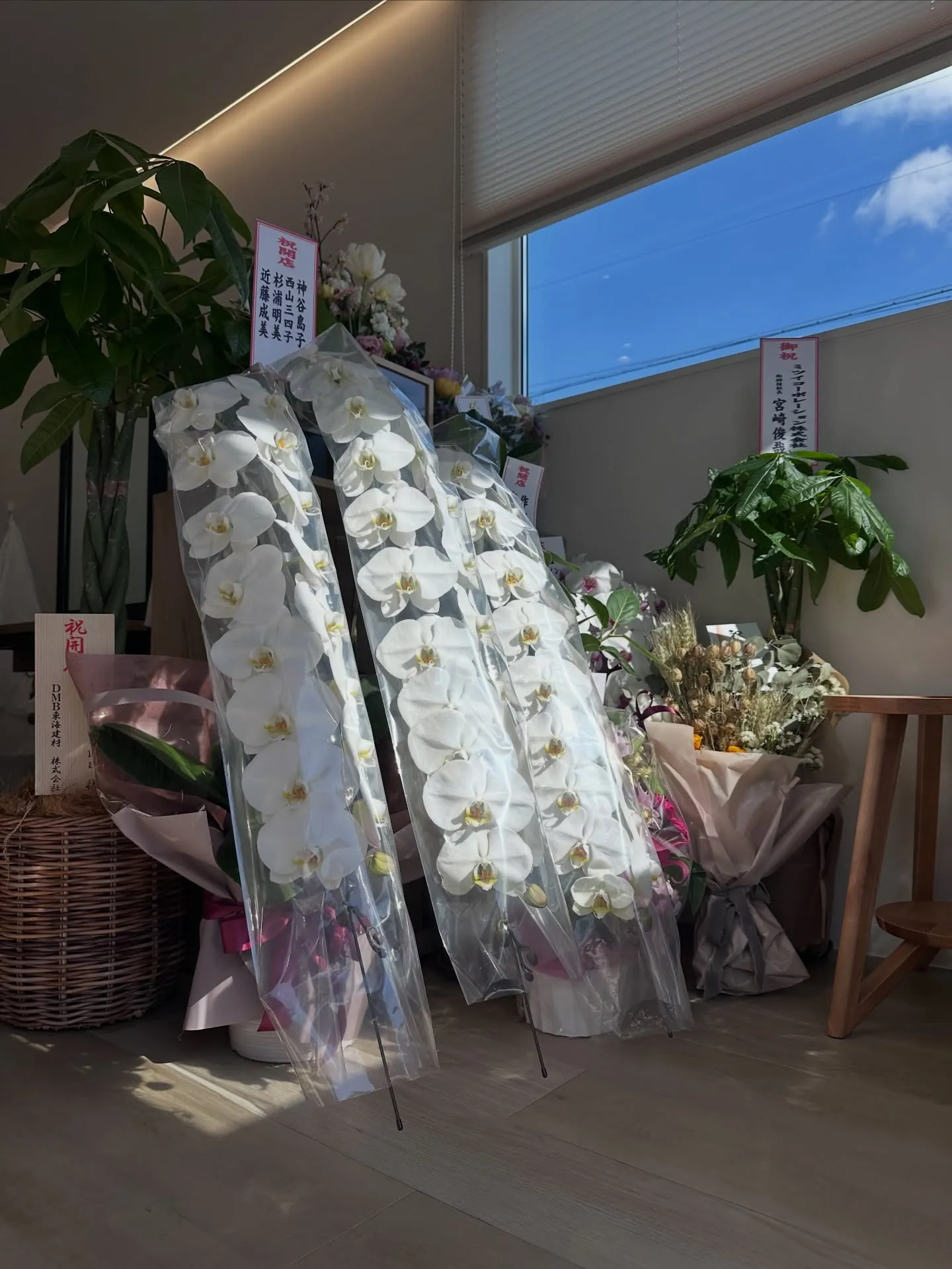 【totoluna 1周年のご挨拶】