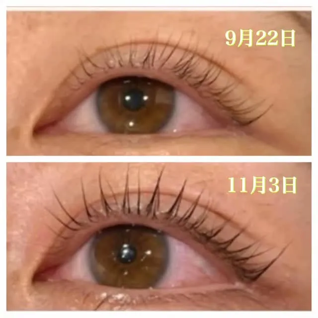 最近「まつげ、細くなってきたかも…」って感じたことありません...
